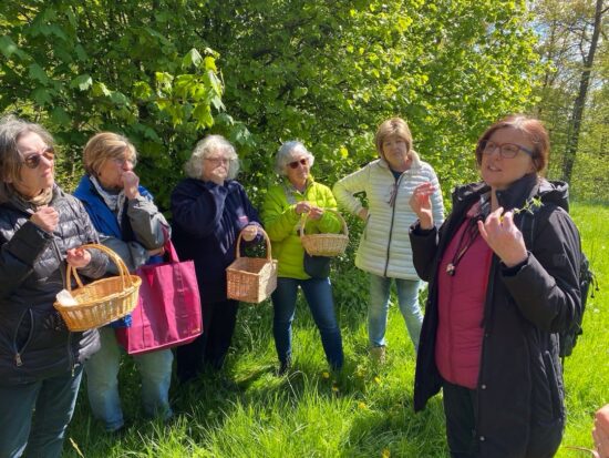 Wildkräuter entdecken und genießen