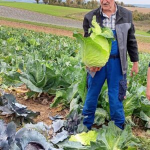 Ein lehrreicher und interessanter Nachmittag auf dem Luisenhof