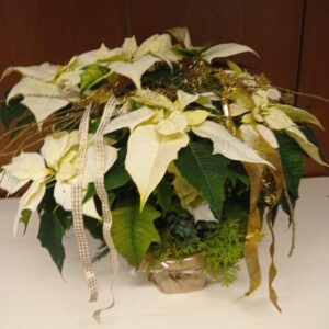 Weihnachtsfeier 2025