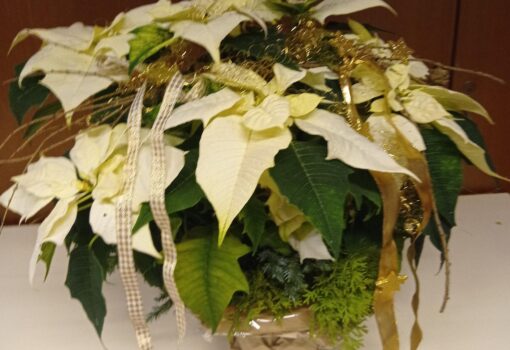 Weihnachtsfeier im Christoph-Blumhardt-Gemeindehaus