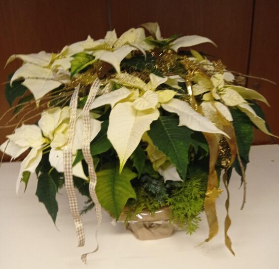 Weihnachtsfeier im Christoph-Blumhardt-Gemeindehaus