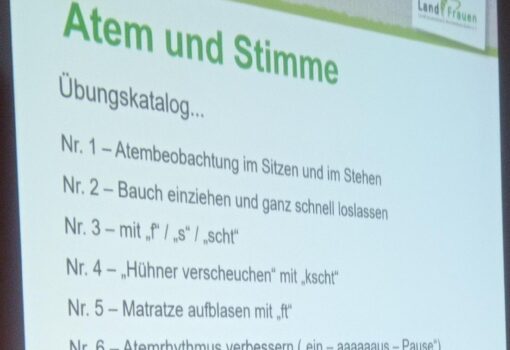 Gesunde Stimme