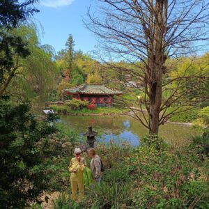 Asiatischer Garten Münzesheim