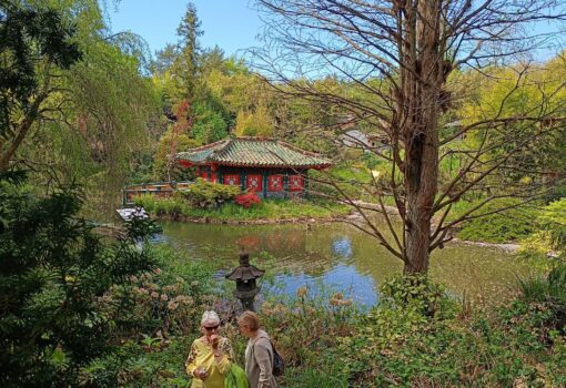 Asiatischer Garten Münzesheim