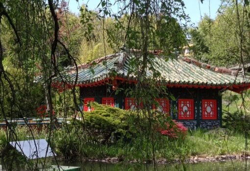 Asiatischer Garten Münzesheim