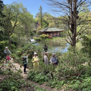Asiatischer Garten Münzesheim