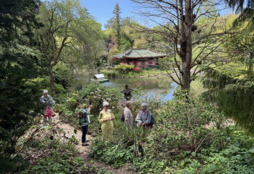 Asiatischer Garten Münzesheim