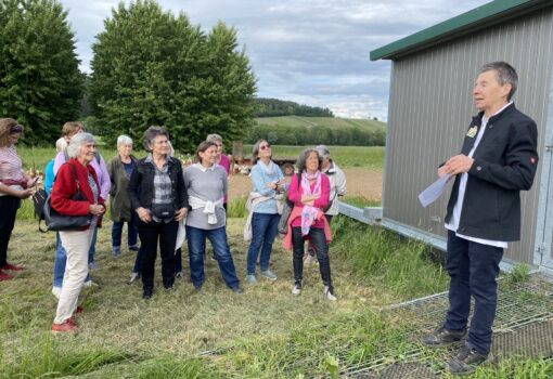 Mohnblütenwanderung